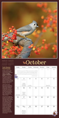 2022 Audubon Birds In The Garden Wall Calendar By National Audubon Society, Workman Calendars | Barnes & Noble®