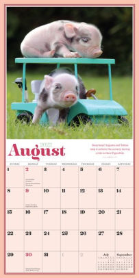 2022 The Original Pocket Pigs Mini Wall Calendar by Richard Austin