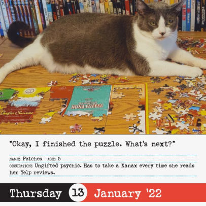 Bad Cat Page-a-Day Calendar 2022 by Workman Calendars, Calendar (Box