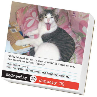 2022 Bad Cat Page-a-Day Calendar by Workman Calendars | Barnes & Noble®