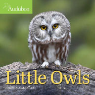 2022 Audubon Little Owls Mini Wall Calendar