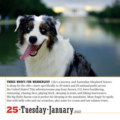 2022 365 Dogs Page-A-Day Calendar By Workman Calendars | Barnes & Noble®