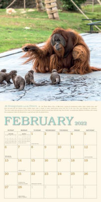 2022 Unlikely Friendships Wall Calendar By Jennifer S. Holland, Workman Calendars | Barnes & Noble®