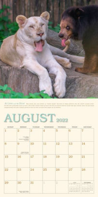 2022 Unlikely Friendships Wall Calendar By Jennifer S. Holland, Workman Calendars | Barnes & Noble®