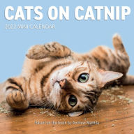 2022 Cats on Catnip Mini Wall Calendar