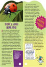 Alternative view 2 of Fandex Kids: Bugs: Facts That Fit in Your Hand: 49 Incredible Insects, Spiders & More!