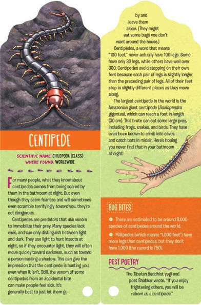 Fandex Kids: Bugs: Facts That Fit in Your Hand: 49 Incredible Insects, Spiders & More!