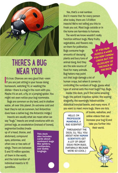 Fandex Kids: Bugs: Facts That Fit in Your Hand: 49 Incredible Insects, Spiders & More!
