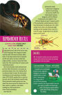 Alternative view 8 of Fandex Kids: Bugs: Facts That Fit in Your Hand: 49 Incredible Insects, Spiders & More!