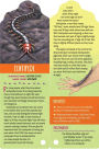 Alternative view 10 of Fandex Kids: Bugs: Facts That Fit in Your Hand: 49 Incredible Insects, Spiders & More!