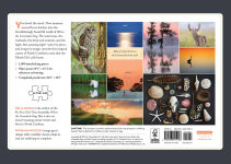 Alternative view 5 of Where the Crawdads Sing 1000-Piece Puzzle