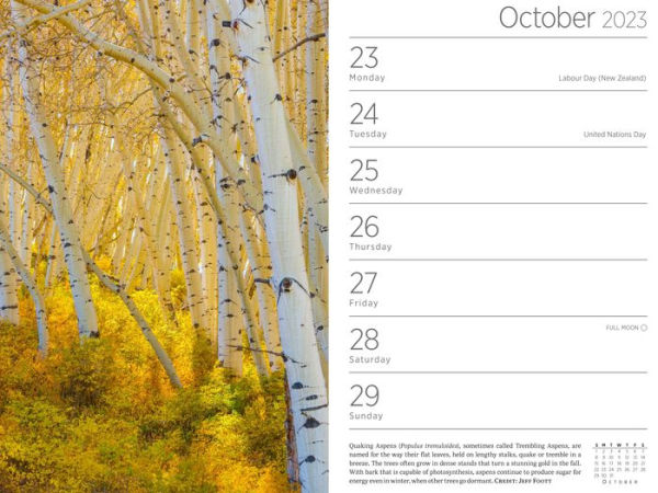 Audubon Engagement Calendar 2023 by Workman Calendars, National Audubon