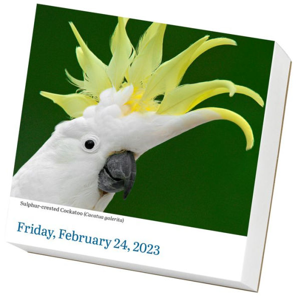 Barnes & Noble Audubon Birds PageADay Calendar 2023 The Summit