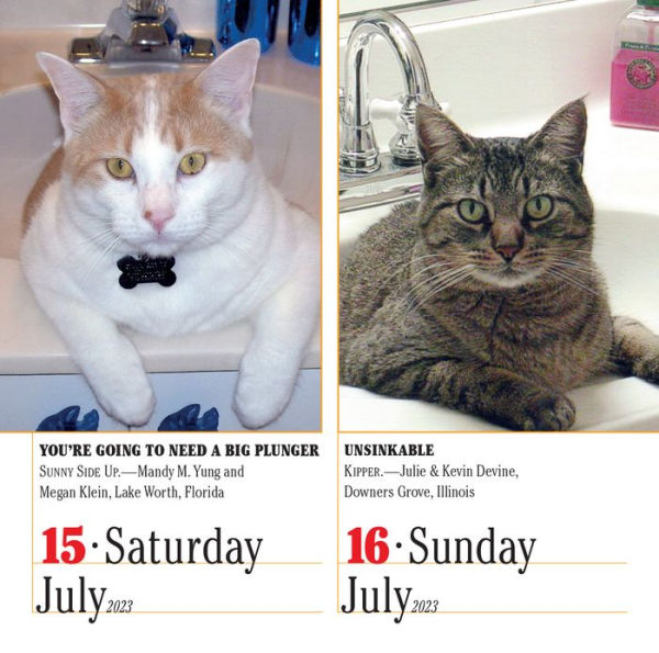 2023 365 Cats Color PageADay Calendar by Workman Calendars Barnes