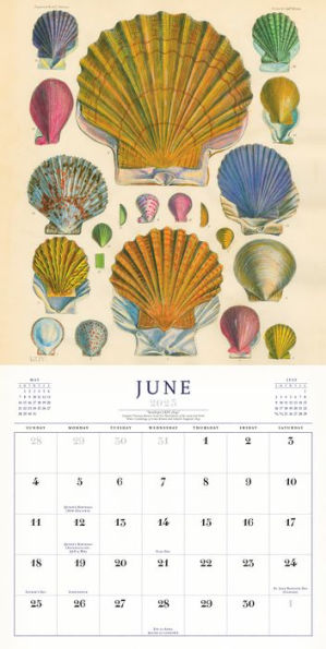 2023 The World of John Derian Wall Calendar by Workman Calendars, John