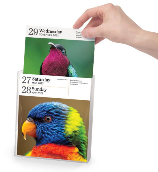 2023 Audubon Birds PageADay Gallery Calendar by Workman Calendars