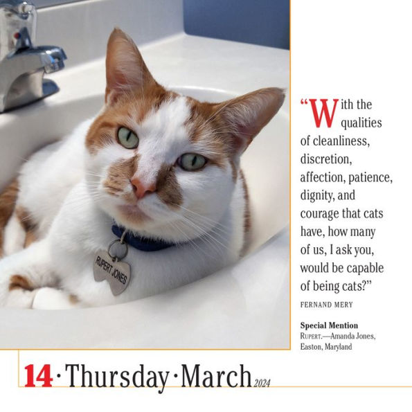 365 Cats PageADay Calendar 2024 The World's Favorite Cat Calendar by