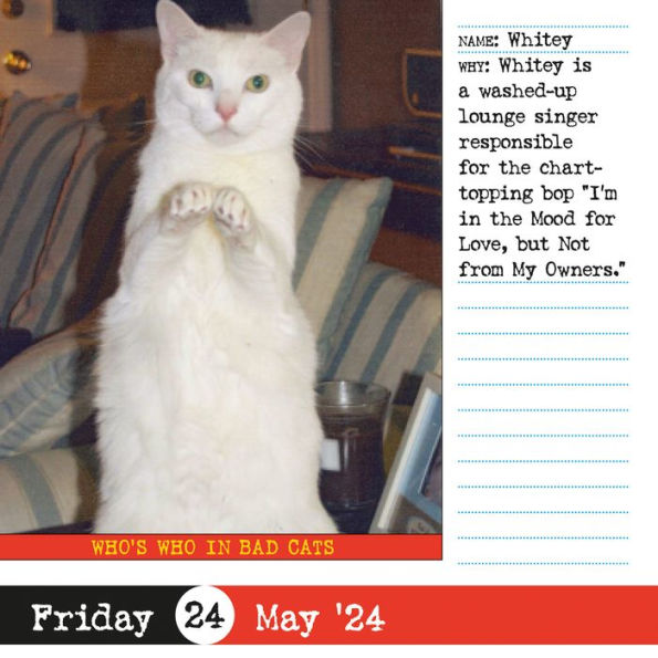 Bad Cat PageADay Calendar 2024 365 NotSoPretty Kitties by Workman