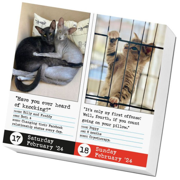 2024 Page a Day Desk Calendar - Bad Cat