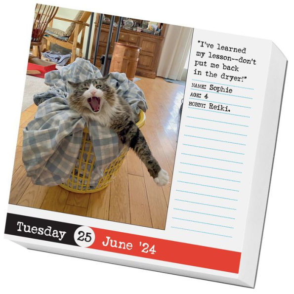 Bad Cat Page-A-Day Calendar 2023: 365 Not So-Pretty Kitties