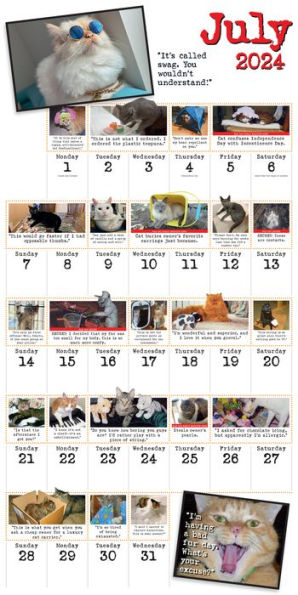 Bad Cat Wall Calendar 2024: Celebrating the Misfits of the Feline World
