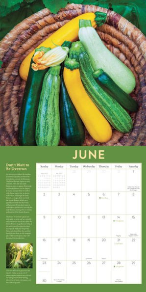 The Year Round Vegetable Gardener Wall Calendar 2024 Expert Advice For Growing Your Own Food 3510