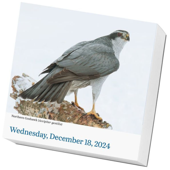 Audubon Birds PageADay Calendar 2024 The World's Favorite Bird