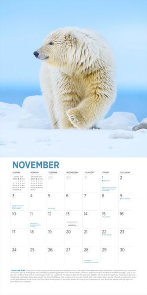 Audubon Arctic Wall Calendar 2024: A Year of Stunning Polar Nature