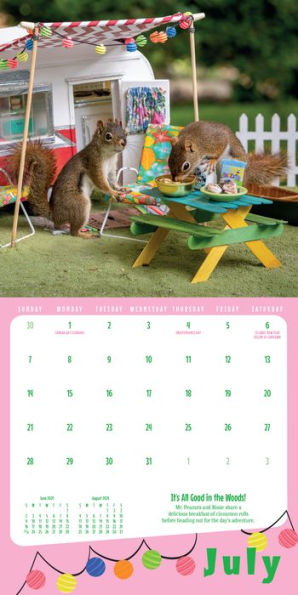 The Secret Life of Squirrels Mini Calendar 2024: Delightfully Nutty Squirrels