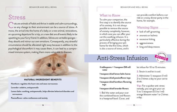 Wellness for Cats: A Guide Health, Hygiene, and Happiness