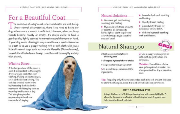 Wellness for Dogs: A Guide Health, Hygiene, and Happiness