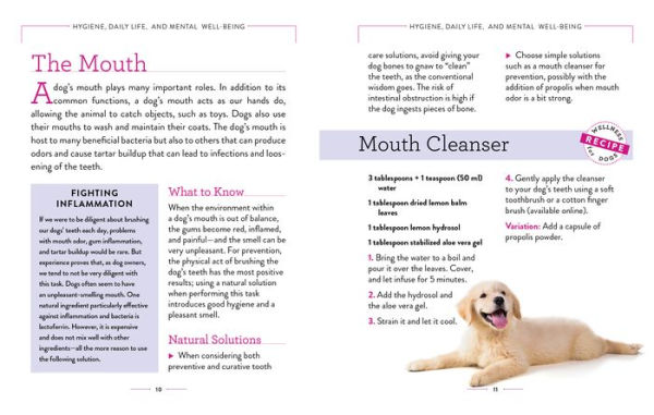 Wellness for Dogs: A Guide Health, Hygiene, and Happiness