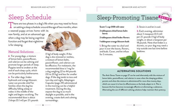 Wellness for Dogs: A Guide Health, Hygiene, and Happiness