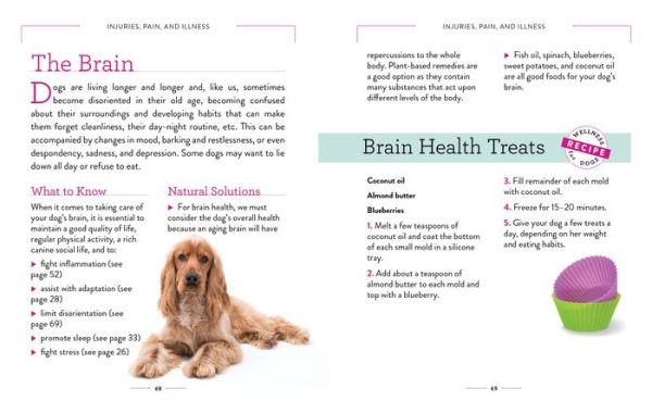 Wellness for Dogs: A Guide Health, Hygiene, and Happiness