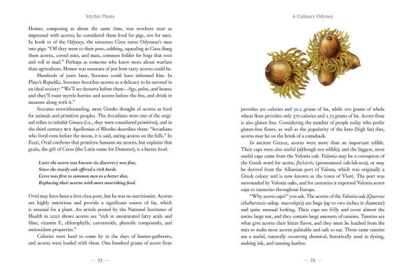 Mythic Plants: Potions and Poisons from the Gardens of Gods