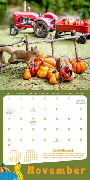 The Secret Life of Squirrels Mini Wall Calendar 2025