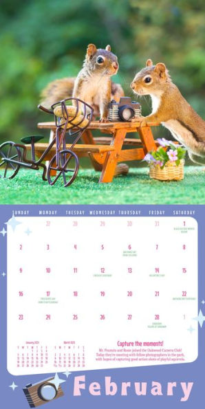 The Secret Life of Squirrels Mini Wall Calendar 2025