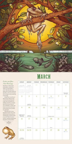 Maia Toll's Wild Wisdom Wall Calendar 2025: Connect to the Mystical Rhythms of the Natural World