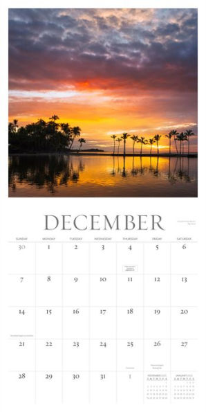 2025 Hawai'i Dreaming Wall Calendar