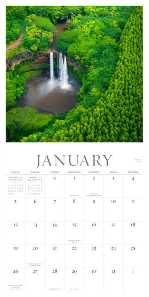 2025 Hawai'i Dreaming Wall Calendar