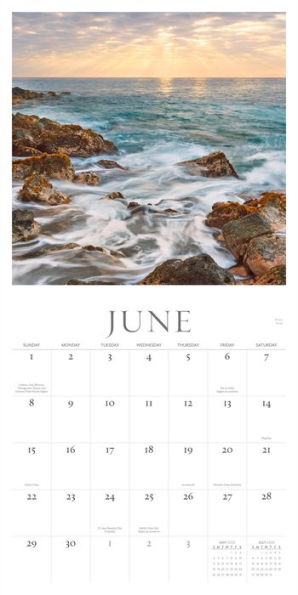 2025 Hawai'i Dreaming Wall Calendar