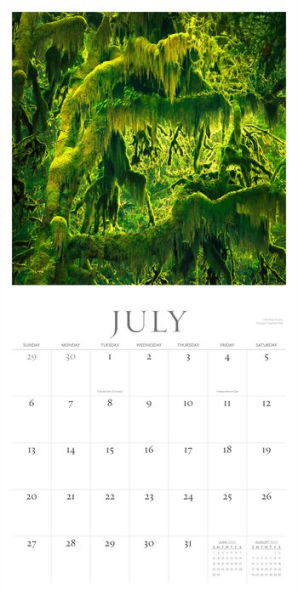 Washington Evergreen Wall Calendar 2025: A Year of Natural Wonders