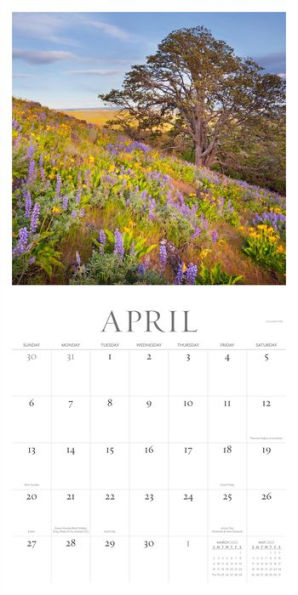 Washington Evergreen Wall Calendar 2025: A Year of Natural Wonders