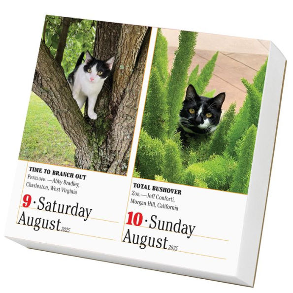 2025 365 Cats Page-A-Day Calendar