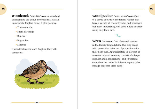 The Birding Dictionary by Rosemary Mosco, Paperback | Barnes & Noble®