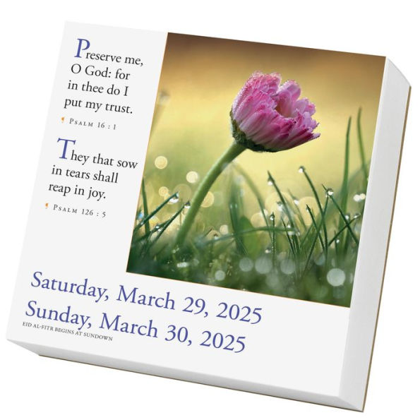 365 Bible Verses-A-Year Page-A-Day® Calendar 2025: Timeless Words from the Bible to Guide, Comfort, and Inspire