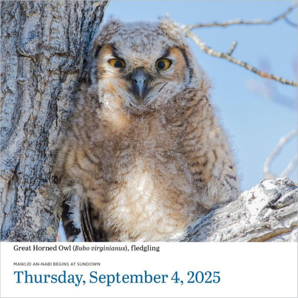 2025 Audubon Birds PageADay Calendar by National Audubon Society