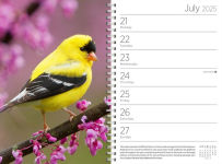 Alternative view 3 of Audubon Engagement Calendar 2025: A Tribute to the Wilderness and Its Spectacular Landscapes