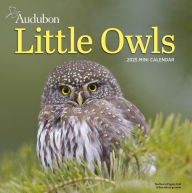 Title: Audubon Little Owls Mini Wall Calendar 2025: A Year of Fluffy and Round Owls