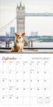 Alternative view 2 of 2025 Dogs on Vacation Wall Calendar